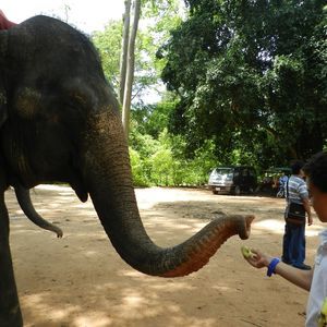 Meet your Posher, Xavier